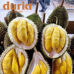 D197 Blackgold AAA Musang King Whole Fruit Durian 10kg **ADELAIDE ONLY**