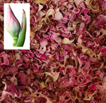 Torch Ginger Flower Bud (Bunga Kantan) in Dried Slices 50g